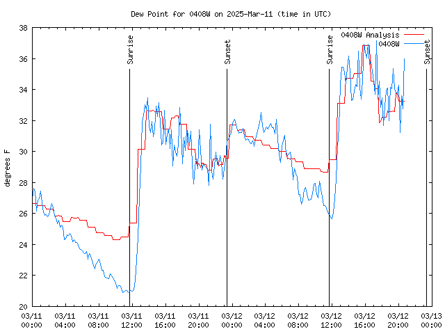 Latest daily graph