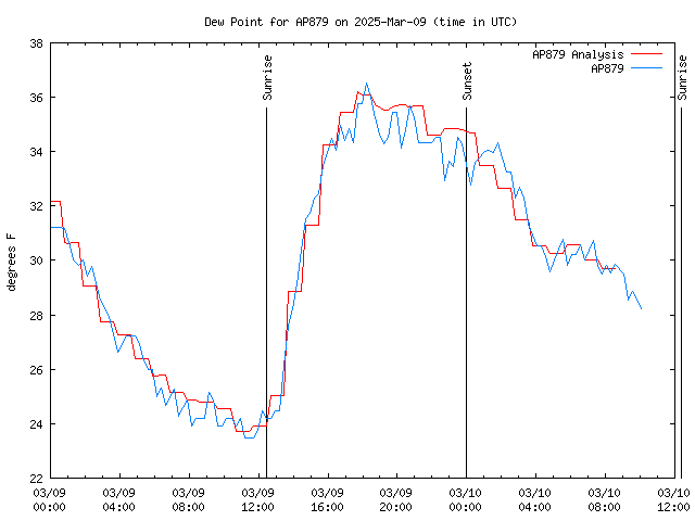 Latest daily graph