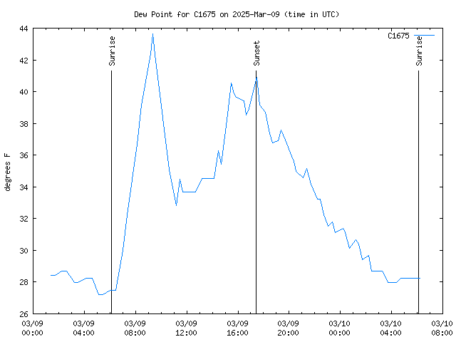 Latest daily graph