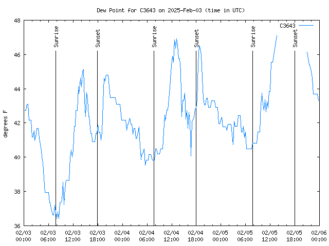 Latest daily graph