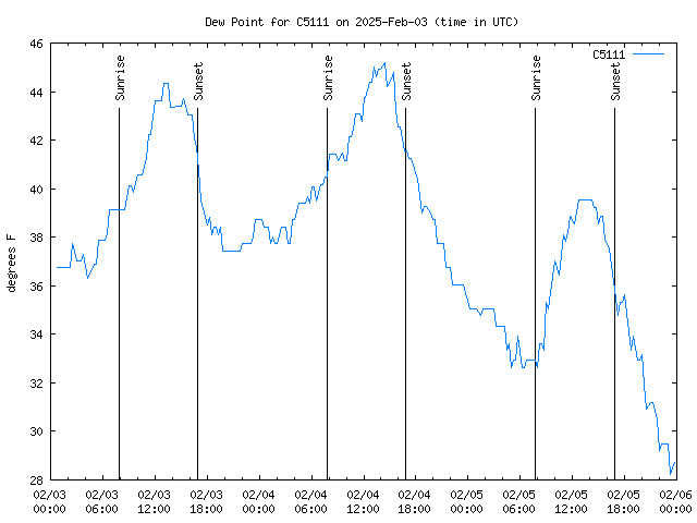 Latest daily graph