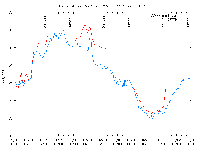 Latest daily graph