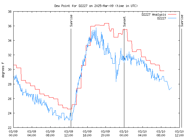 Latest daily graph