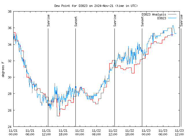 Latest daily graph