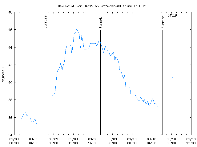 Latest daily graph