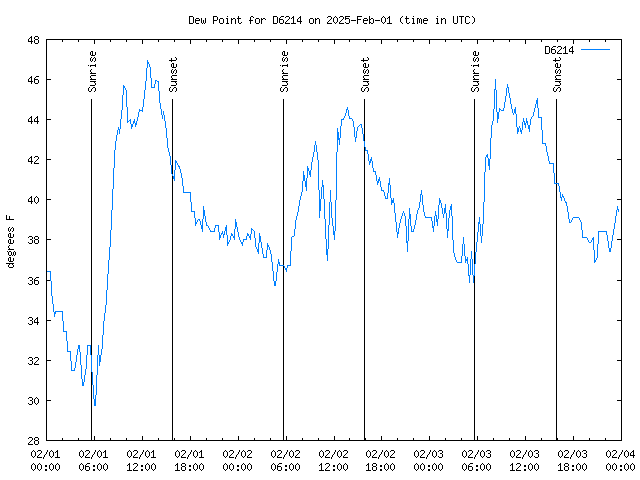 Latest daily graph