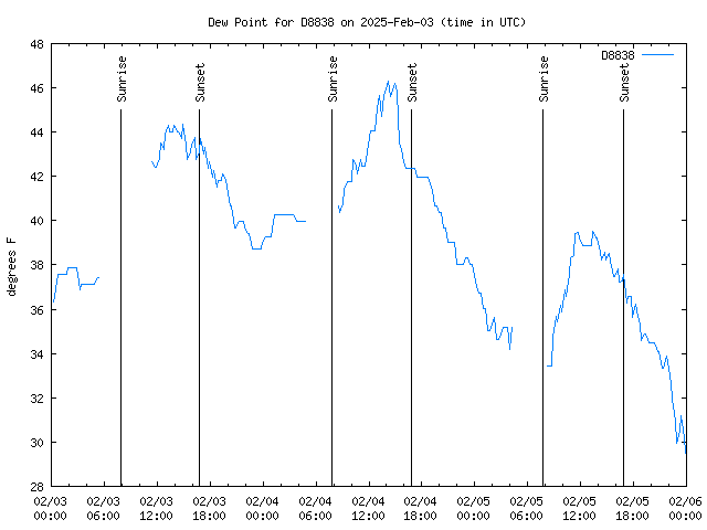 Latest daily graph