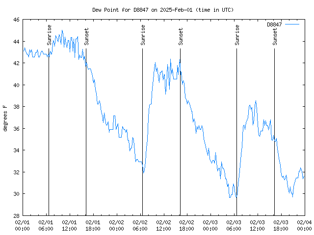 Latest daily graph