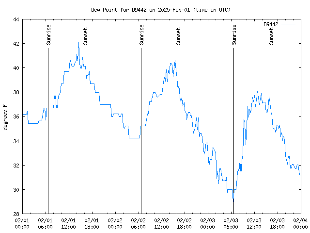 Latest daily graph