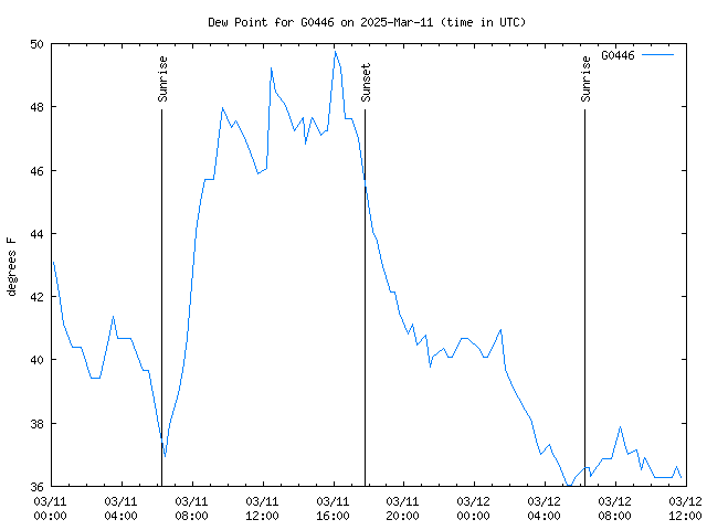 Latest daily graph