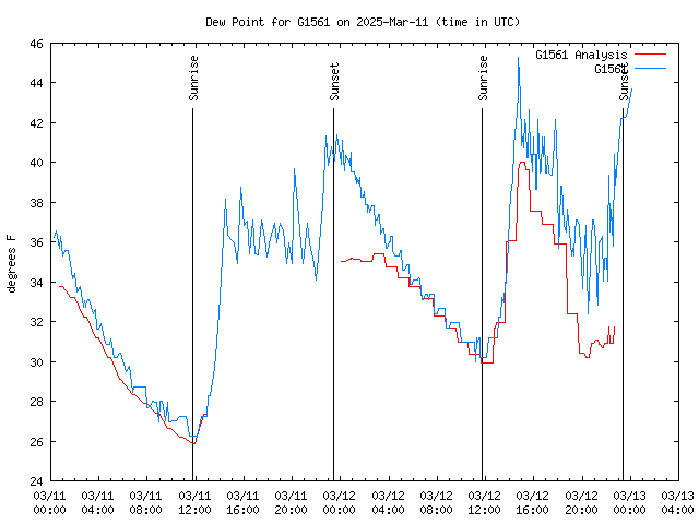 Latest daily graph