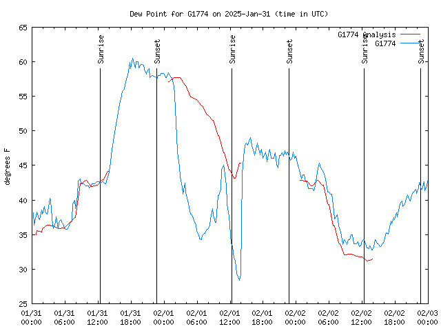 Latest daily graph