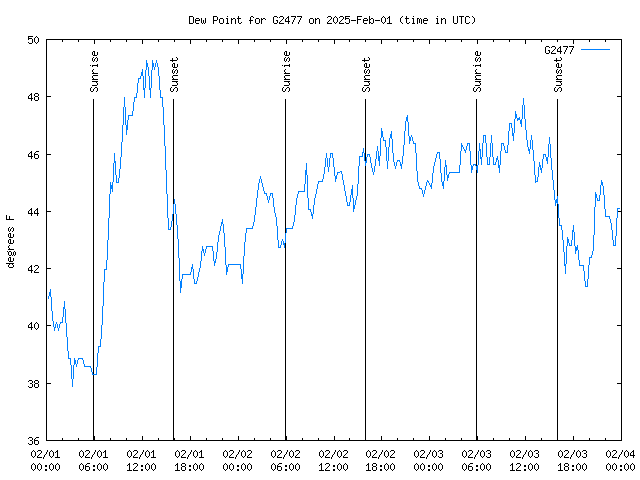 Latest daily graph