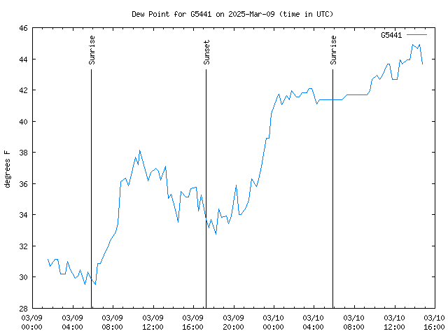 Latest daily graph