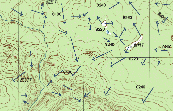 Elephant Back Mountain